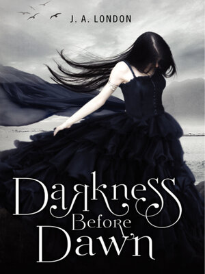 cover image of Darkness Before Dawn
